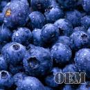 HiLIQ(ハイリク ) OEM 高濃度 フルーツ系 ブルーベリー E-リキッド 120ml(10ml×12本セット)　Blueberry